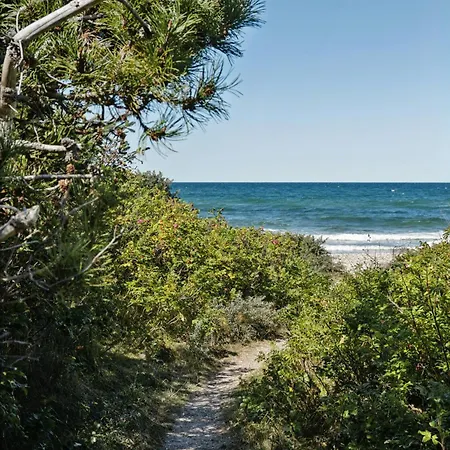 Experience Nature's Embrace And Peace Græsted