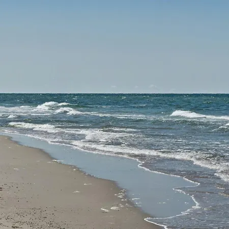 Experience Nature's Embrace And Peace * Græsted