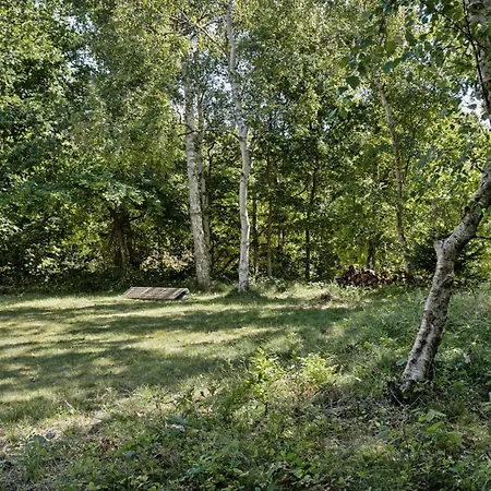 度假居 Experience Nature's Embrace And Peace Græsted