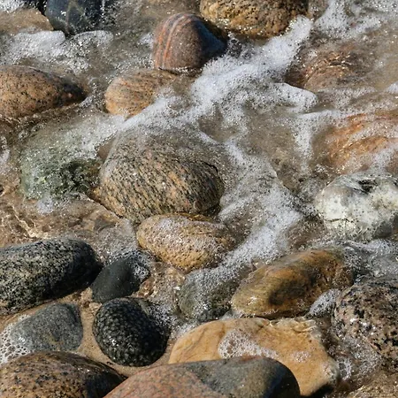 Experience Nature's Embrace And Peace 度假居 Græsted